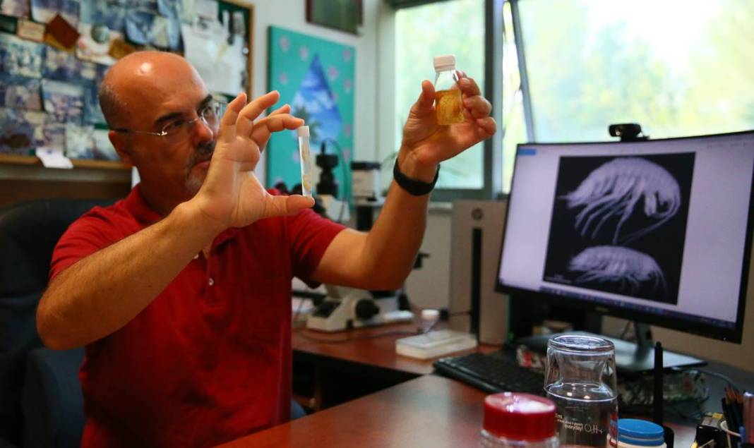 Dünyada ilk kez: Yeni sualtı canlısı türü, Türkiye'nin en derin üçüncü mağarasında keşfedildi! Türk bilim insanlarının başarısı 17